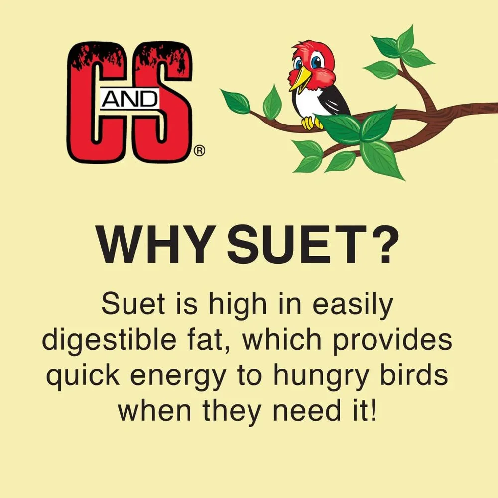 No Melt Suet Dough Nuggets, 8 lb., Wild Bird Food